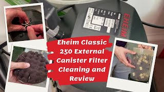 Eheim Classic 250 External Canister Filter Cleaning and Review [upl. by Teirtza]