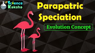 PARAPATRIC SPECIATIONIn Hindi  CSIR NET  EVOLUTION  GATE [upl. by Oderfodog526]