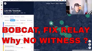 FIX RELAY BOBCAT MINER [upl. by Eillat]