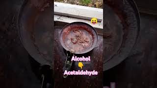 Ethanol to Ethanal DehydrogenationLiver changes alcohol to Acetaldehyde by Alcohol dehydrogenase [upl. by Miharbi110]