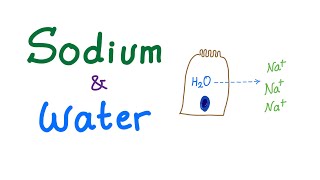 Sodium and Water  Electrolytes  Osmosis  Osmotic Pressure  Fluids and Electrolytes Series [upl. by Yerdna]