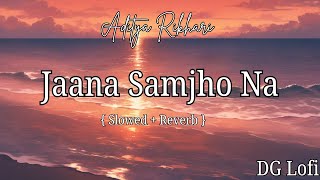 Jaana Samjho Na Remix  Slowed  Reverb  Bhool Bhulaiyaa 3  Aditya New Music 2024 DGLofiMusic [upl. by Hilde]