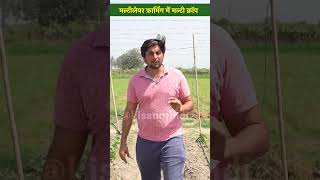 Multilayer Farming में कैसे मुनाफ़ा कमा रहा दिल्ली का ये युवा Multi Crops  shorts [upl. by Ahsema]