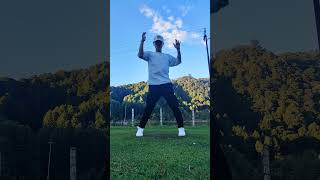 InteruptShow Me  Siikhe Lake  Ziro  northeastshuffledance dance shuffledance [upl. by Candi]