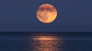 Full Moon September 17th  Harvest Moon 2024 Predictions  Your Fate Revealed [upl. by Eiclud]