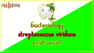 الدرس الرابع Streptococcus viridians [upl. by Stewart596]