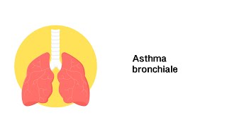 Asthma bronchiale  Erkrankungen der Atemwege [upl. by Latif]