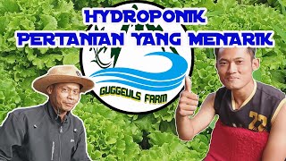 HYDROPONIK PERTANIAN YANG MENARIK Guggeulscommunity [upl. by Owain443]