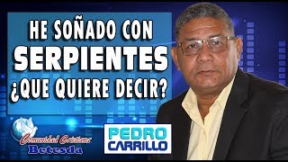 N° 088 quotHE SOÑADO CON SERPIENTES ¿QUÉ QUIERE DECIRquot Pastor Pedro Carrillo [upl. by Maximilianus301]