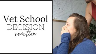 Vet School Admissions Decision Reaction [upl. by Eceirehs]