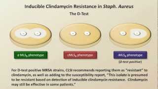 Antibiotic Resistance Antibiotics  Lecture 9 [upl. by Nohsav964]