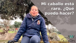 🐴Mi caballo está raro ¿Qué puedo hacer🐴 [upl. by Louth]