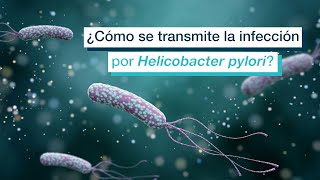 🔴 HELICOBACTER PYLORI  Síntomas Complicaciones Diagnóstico y Tratamiento [upl. by Pollack]