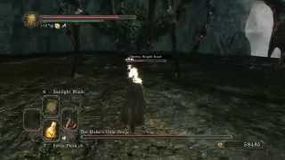 Dark Souls II  Everything different in NGBrightstone Cove Tseldora [upl. by Darius125]