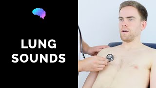 Lung sounds respiratory auscultation sounds  UKMLA  CPSA [upl. by Chrystal]