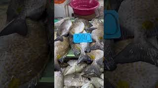 Wet market day 🐟🐠🌊 wetmarket fish market wetmarkets isda fishes scales palengke aqua [upl. by Adli]