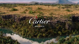 Panthère de Cartier a new film from the Maison directed by Nathalie Canguilhem [upl. by Calise]