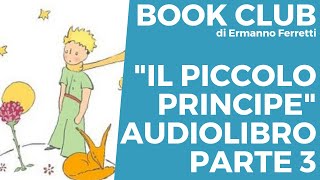 Il piccolo principe  Audiolibro spiegato parte 3 [upl. by Paff550]