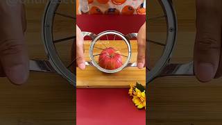 Apple Cutter Stainless Steel  applecutter cutter kitchen kitchengadets [upl. by Bourn77]