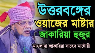 উত্তরবঙ্গের ওয়াজের মাষ্টার। হাফেজ মাওলানা জাকারিয়া সাহেব নাটোরী। Hafez mawlana jakariya saheb natori [upl. by Noonberg]