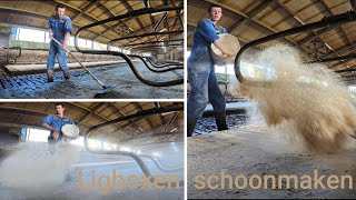 Koeien stal ligboxen schoonmaken  Farm247 2024 [upl. by Eintihw781]