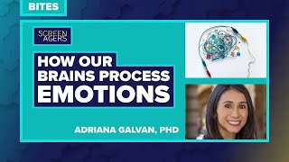 Screenagers Bites  How Our Brains Process Emotions  Adriana Galvan PhD [upl. by Myrwyn]