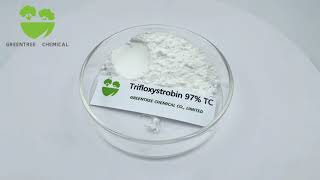 Trifloxystrobin 97 TC CAS NO 141517217 Fungicide [upl. by Cannell239]