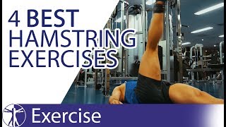 The 4 Best Hamstring Exercises  Hamstring Training [upl. by Akkina215]