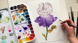 PAINT WITH ME Blue Iris with watercolors tutorial  relaxing painting process [upl. by Phippen949]