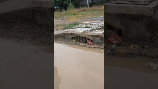 Hard Work With Mini Tool Unclogged Culvert unclog cloggeddrain drain shorts [upl. by Ecitnerp]