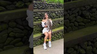 The animals 😂🤣 Fails funnyanimals animalsfunny pets shorts [upl. by Acinoev]