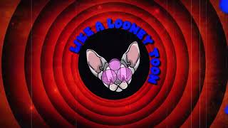 TIMMS Looney Toons Lyric Video [upl. by Ivy]