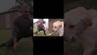 dog whisperer Cesar Millan got bitten a dog dog dogs doglover kinagatngaso [upl. by Clayson]