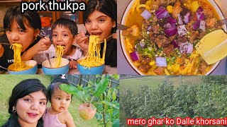 Mero ghar ko organic dalle khursaniRa amachorachoripork😋 thukpa mukbangsushilamukbangvlog [upl. by Refenej]