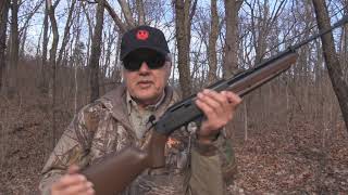 Crosman Pumpmaster 760 Classic Shooting at 50 Yards [upl. by Eyar]