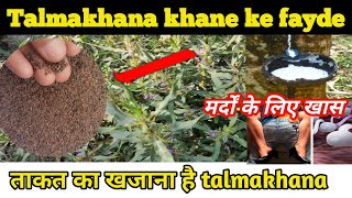 Talmakhana khane ke fayde  tal makhana ka istemal kaise kare [upl. by Funk258]