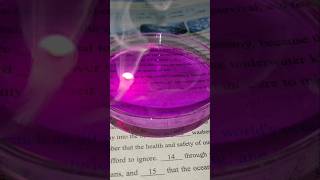 How Potassium React With Ethanol Potassium And Ethanol Experiment Experiment shorts short [upl. by Meagan632]