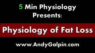 The Physiology of Fat Loss 5 Min Phys [upl. by Venetis]