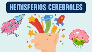 Hemisferios cerebrales y sus funciones [upl. by Corey]