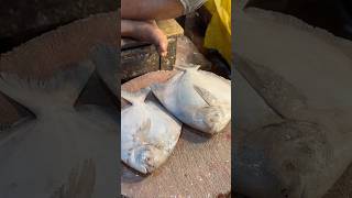 Big Pomfret Fish Cutting Skills Live fishcuttinginbangladesh bdfishcutting fish fishcuting [upl. by Ahsiuqram]