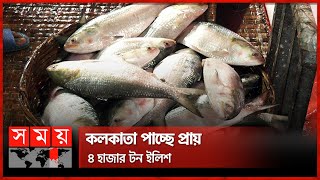 বরিশাল থেকে টন টন ইলিশ যাচ্ছে ভারত  Bangladesh to Export Tonnes of Hilsa to India  Somoy TV [upl. by Beach]