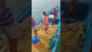 Fishing boat । fishingboat sea [upl. by Natal]