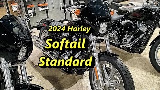 2024 Softail Standard [upl. by Laleb]