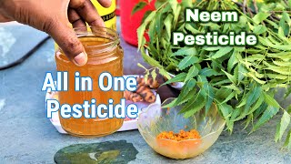 How to make organic Neem pesticide at home  Best natural pesticide from neem leaves and turmeric [upl. by Kendrah477]