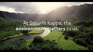 Smurfit Kappa  Our Sustainability Progress [upl. by Sirdi]