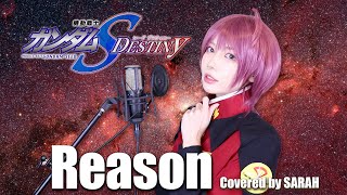 【機動戦士ガンダムSEED DESTINY】玉置成実  Reason ルナマリアで歌ってみたSARAH cover  Mobile Suit Gundam SEED DESTINY ED1 [upl. by Tegdig566]