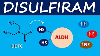 Disulfiram  Mechanism side effects and uses [upl. by Annatsirhc]