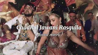 chadhal jawani rasgulla  slowed reverb bhojpuri song [upl. by Komsa723]