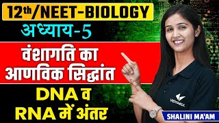 Difference between DNA and RNA L4  Molecular Basis of Inheritance  12thNEET Biology Chapter 5 [upl. by Noram]