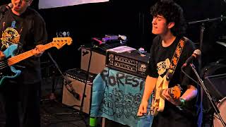 JSYL Forests Live Full Show 4K in Austin Texas at Mohawks 102824 [upl. by Manoop]